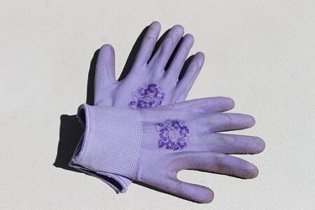 Quarzhandschuhe kaufen: Ist es in Deutschland legal?